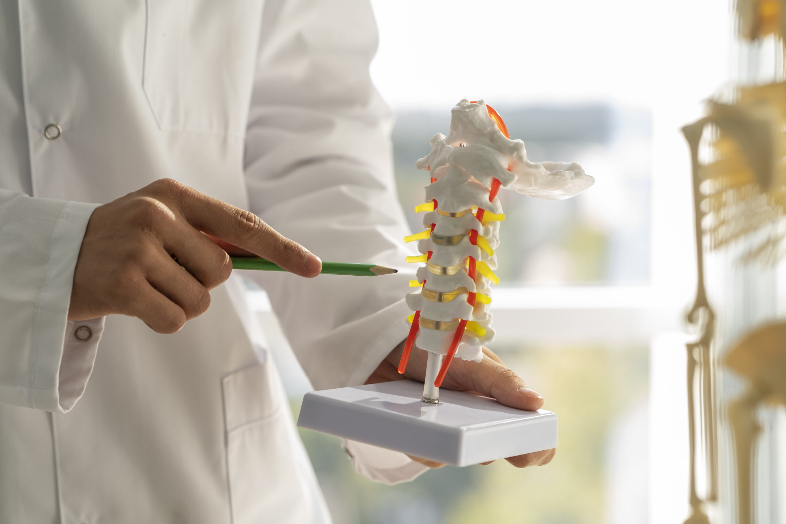 How to Prevent Osteoporosis(Chinese Medicine)