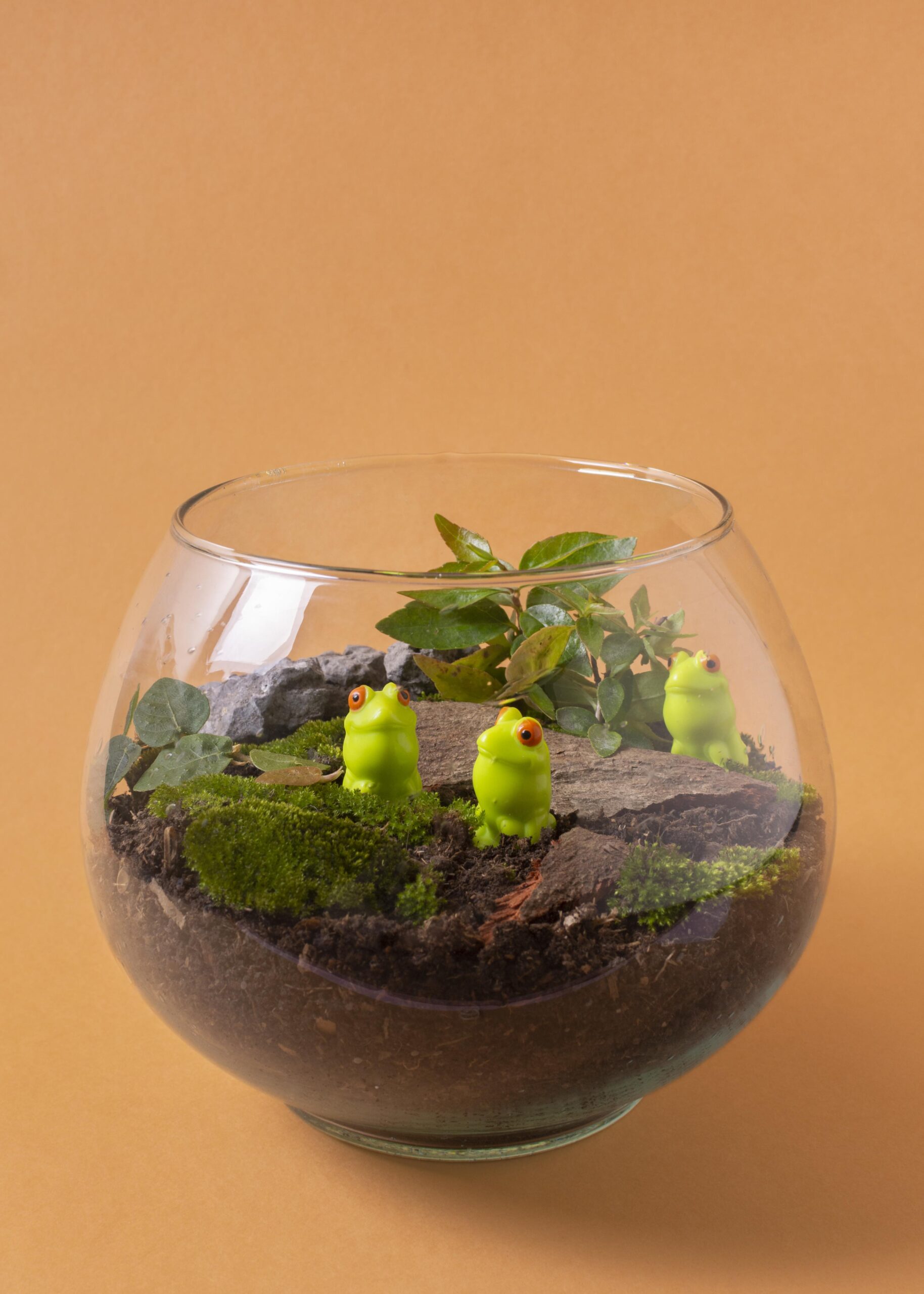 Moss Terrarium Landscape workshop